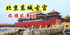 大黑逼骚中国北京-东城古宫旅游风景区